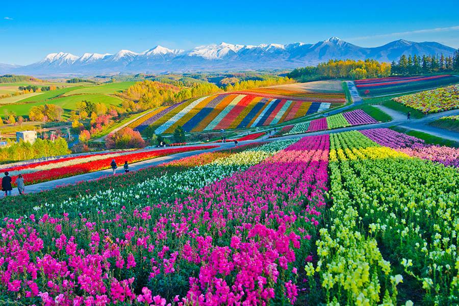 Hokkaido