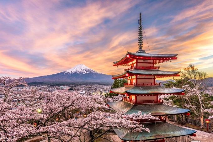 Japan Experience & Business Tours